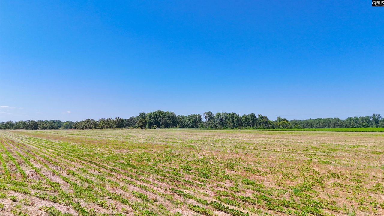 0 Joes Trail Photo 6