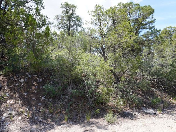 263 FIVE HILLS Drive, Tijeras, NM 87059