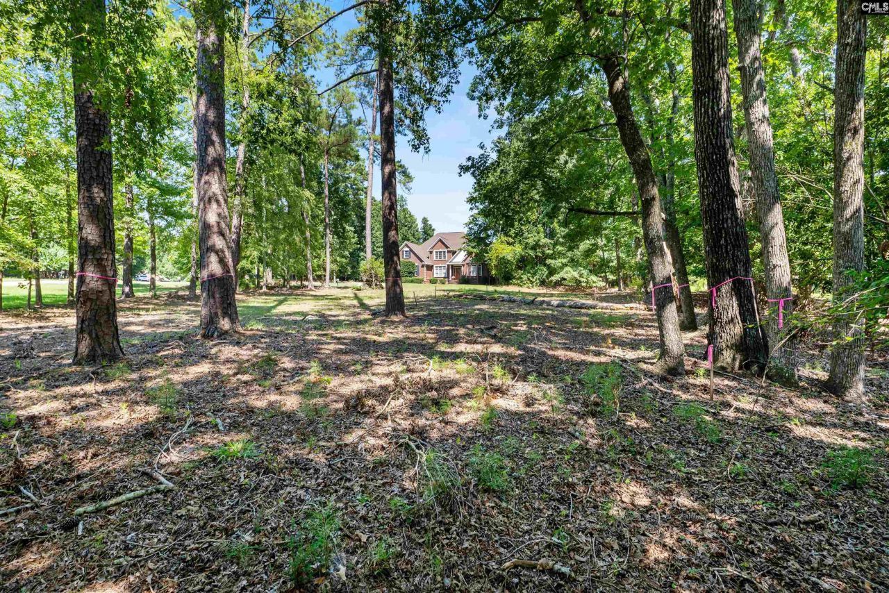 105 Oak Trace Court Photo 7