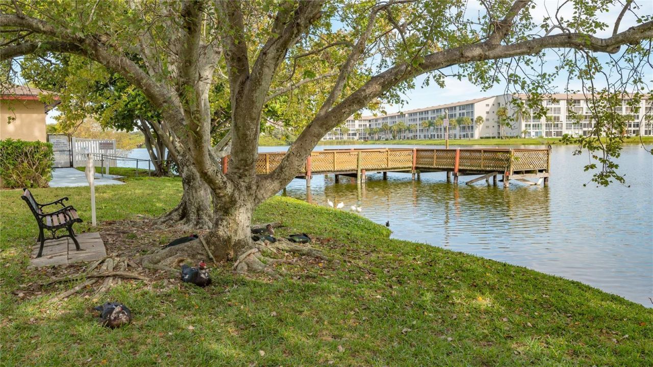 3845 Lake Bayshore Drive, Unit F103, Bradenton, FL 34205 Photo