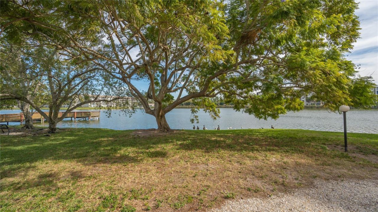 3845 Lake Bayshore Drive, Unit F103, Bradenton, FL 34205 Photo