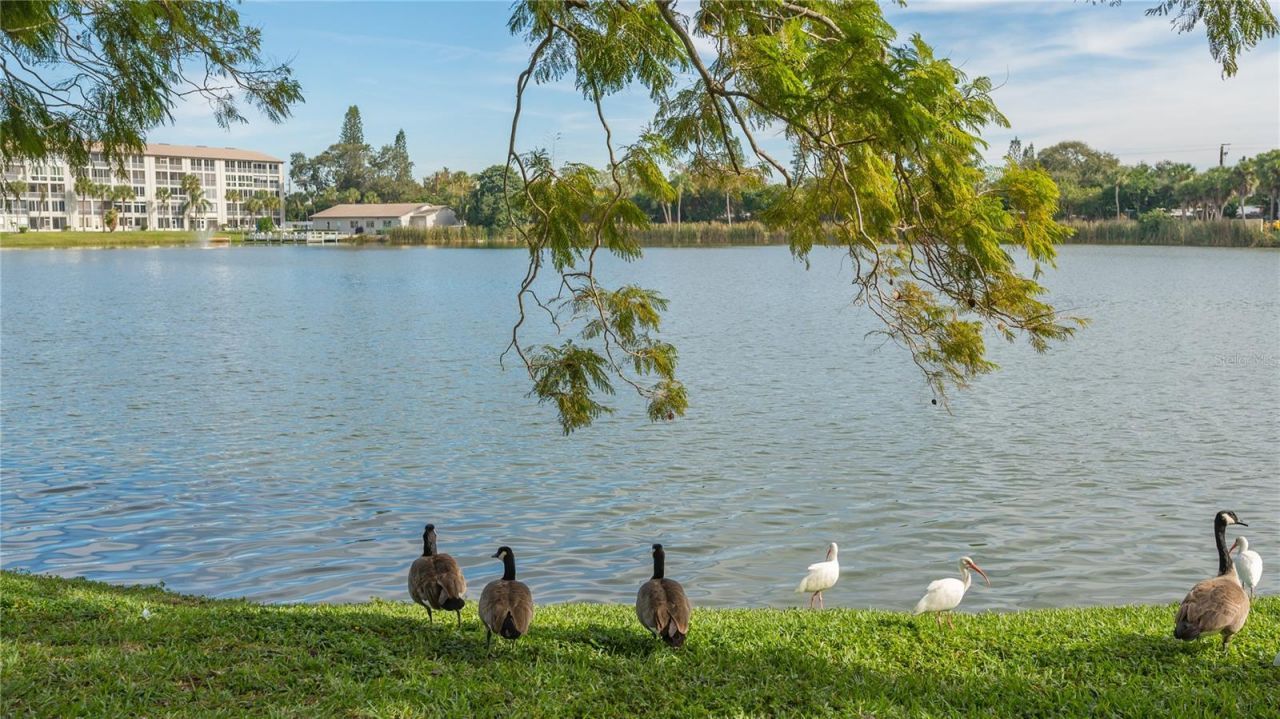 3845 Lake Bayshore Drive, Unit F103, Bradenton, FL 34205 Photo