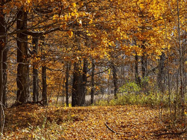 6862 N Nature Lane, La Porte, IN 46350