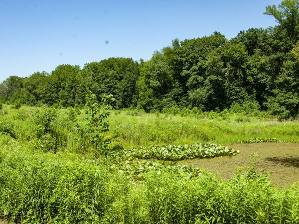 6864 N Nature Lane, La Porte, IN 46350