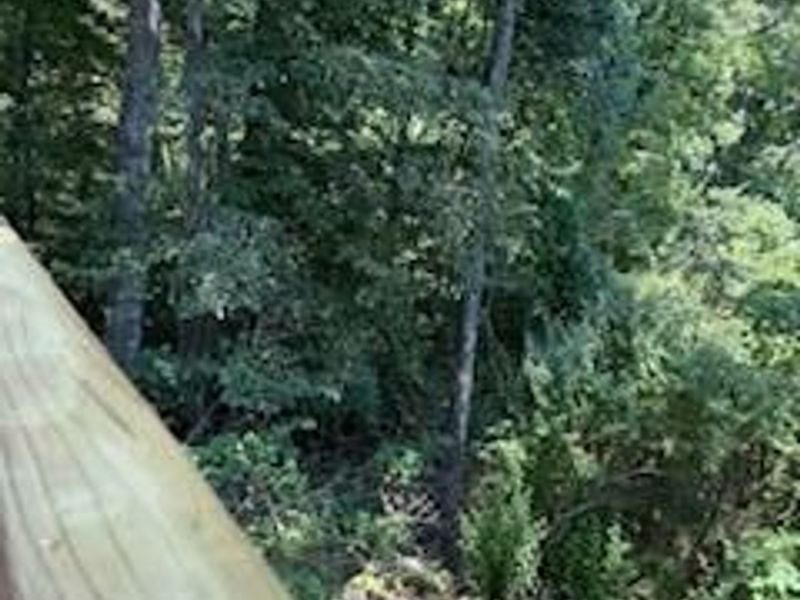 75959 Vandalia Lane, Unit 32-33-34, Kimbolton, OH 43749 Photo 10