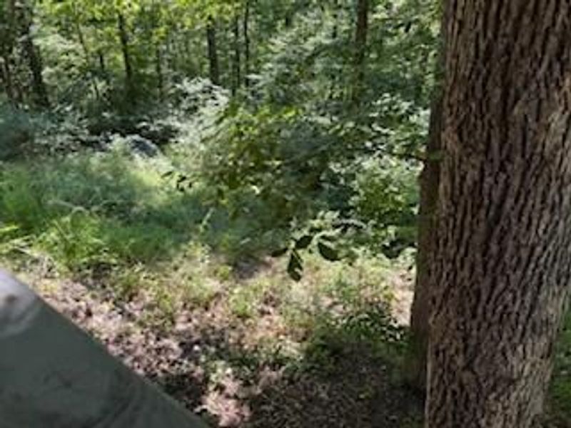 75959 Vandalia Lane, Unit 32-33-34, Kimbolton, OH 43749 Photo 36