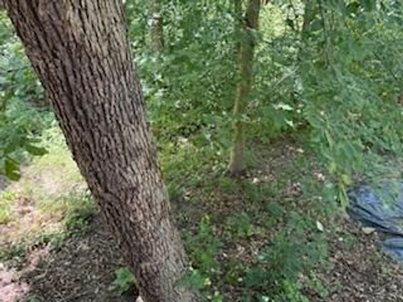 75959 Vandalia Lane, Unit 32-33-34, Kimbolton, OH 43749 Photo 37