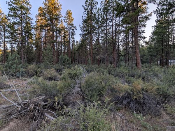 Bufflehead Drive, Unit 9, Bonanza, OR 97623