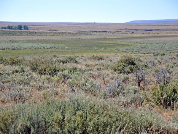 TBD Mud Flat Road, Grand View, ID 83624