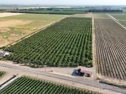787 W Sutter Island Cross Rd, Courtland, CA 95615 Photo