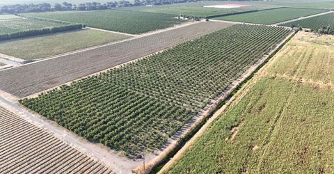 787 W Sutter Island Cross Rd, Courtland, CA 95615 Photo