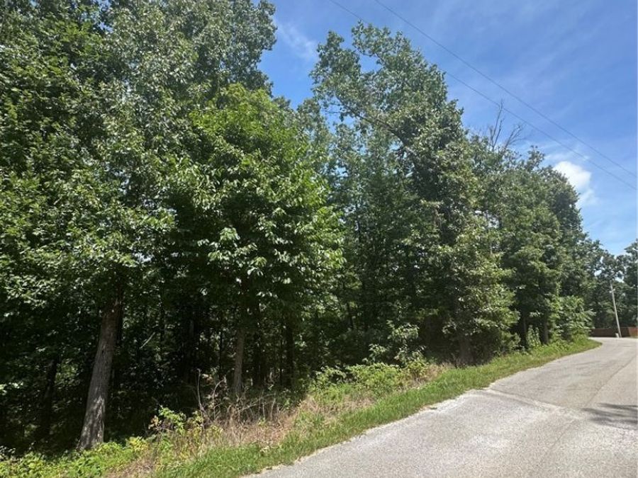 Property Image 7