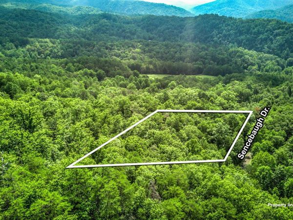Sencebaugh Drive, Sevierville, TN 37876
