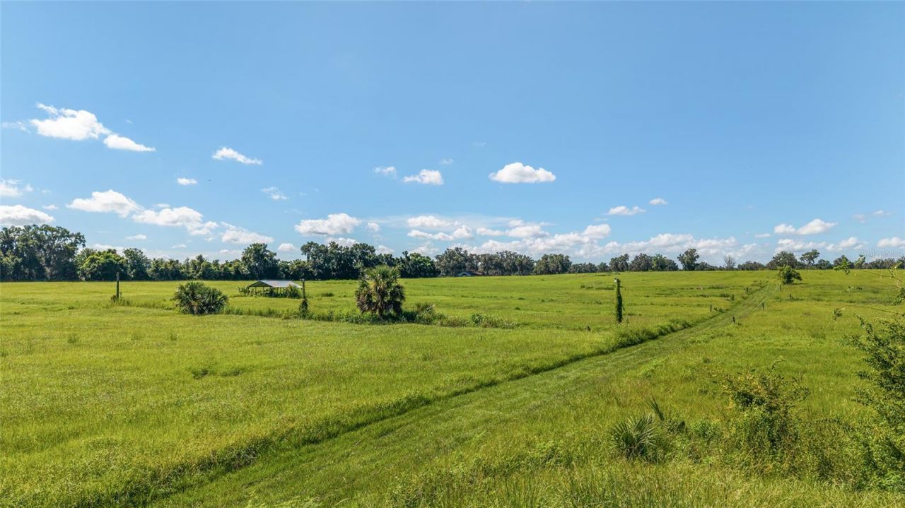 5800 SE 145th Street, Summerfield, FL 34491 Photo