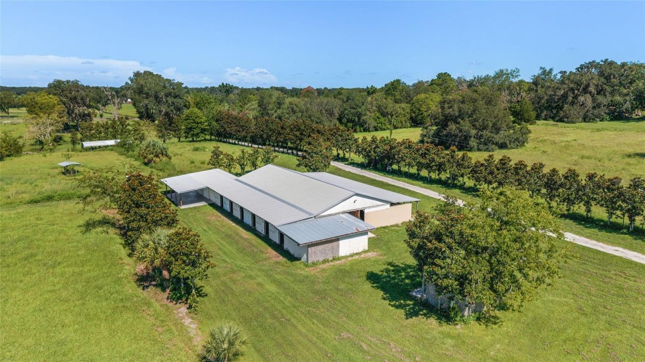 5800 SE 145th Street, Summerfield, FL 34491 Photo