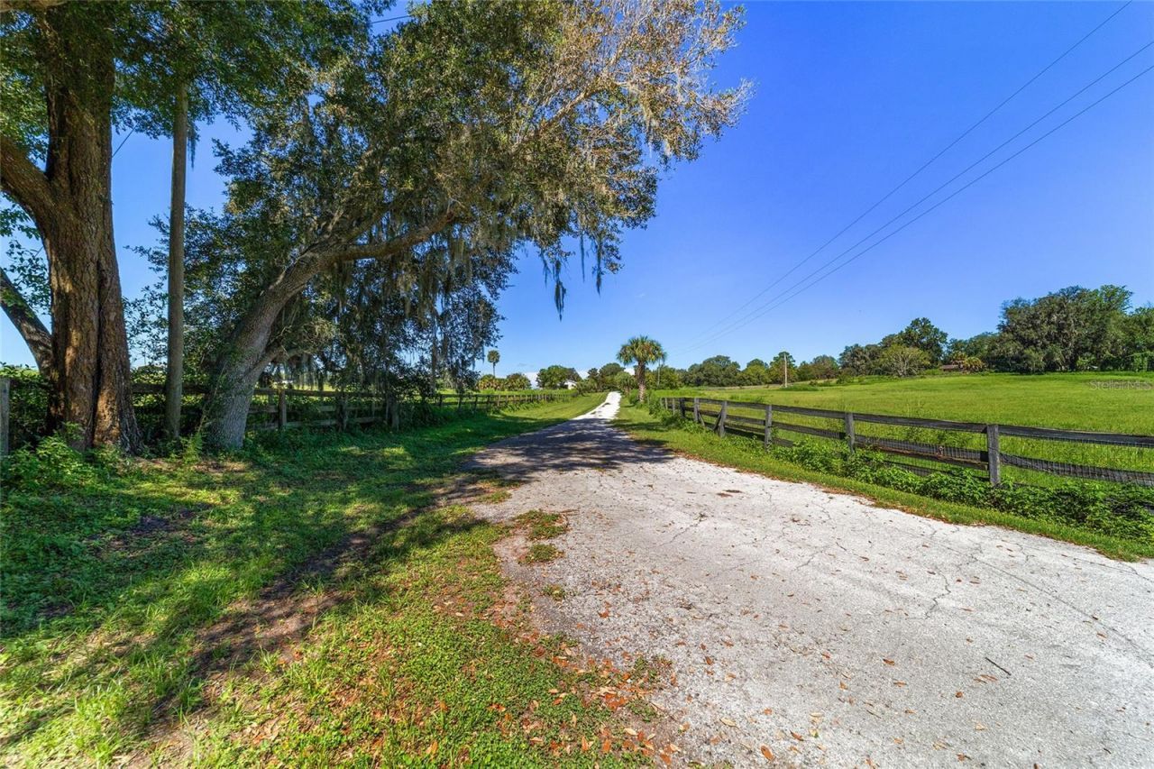 5800 SE 145th Street, Summerfield, FL 34491 Photo