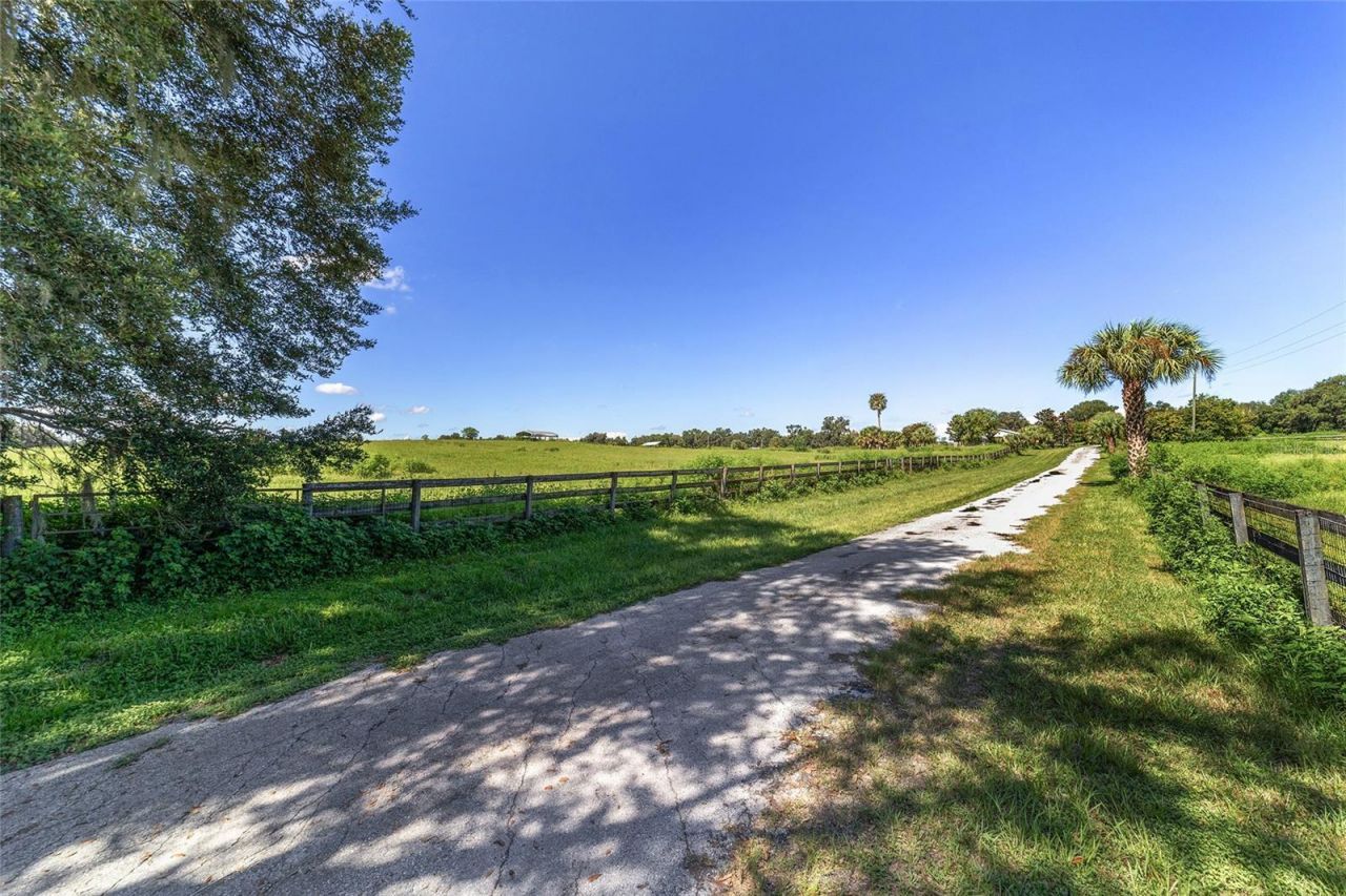 5800 SE 145th Street, Summerfield, FL 34491 Photo