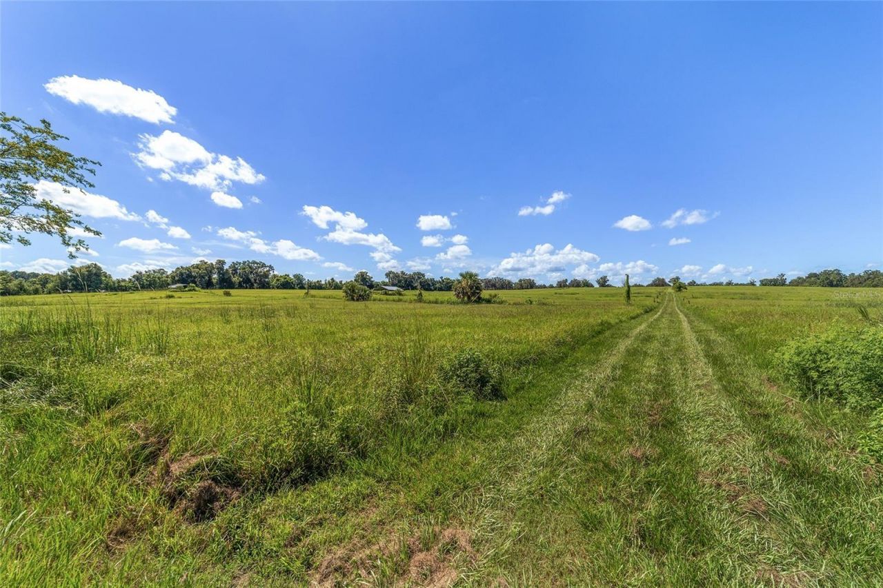 5800 SE 145th Street, Summerfield, FL 34491 Photo