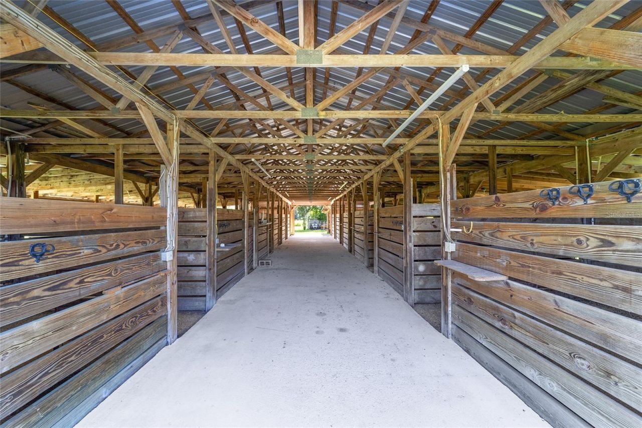 5800 SE 145th Street, Summerfield, FL 34491 Photo