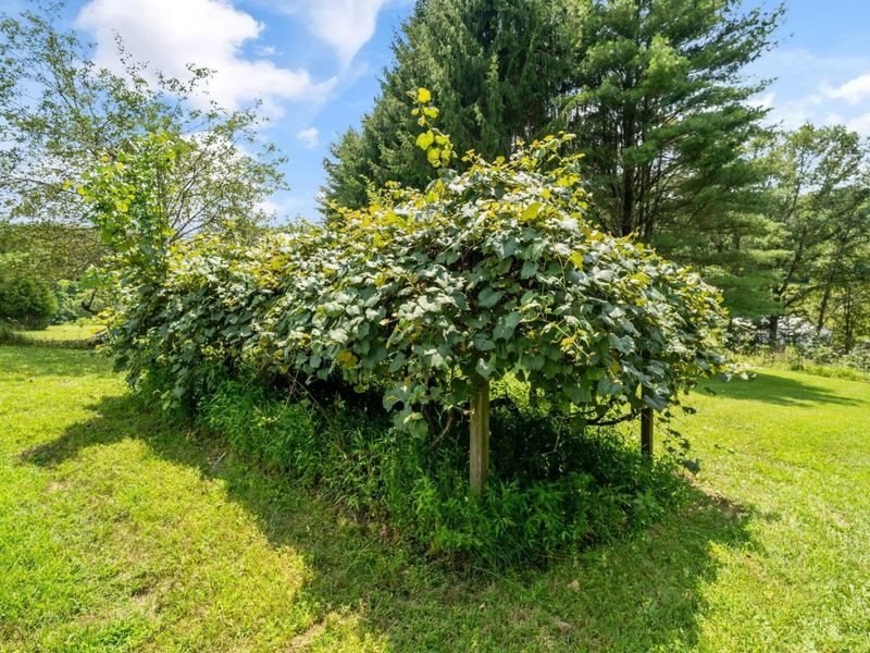 9168 Bremen Road, Logan, OH 43138 Photo 62