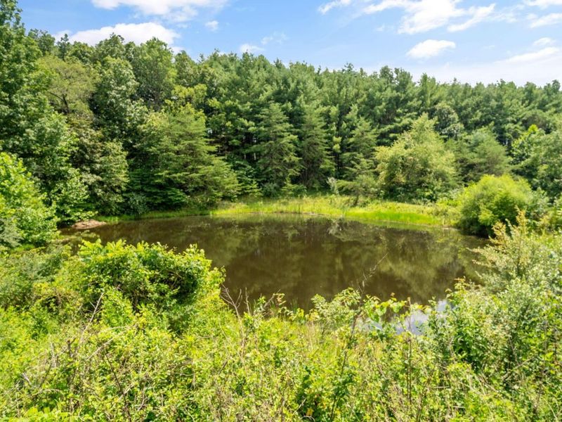 9168 Bremen Road, Logan, OH 43138 Photo 63