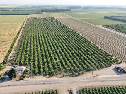 787 W Sutter Island Cross Rd, Courtland, CA 95615 Photo