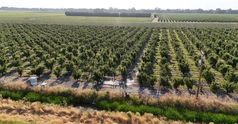 787 W Sutter Island Cross Rd, Courtland, CA 95615 Photo