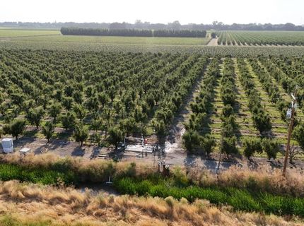 787 W Sutter Island Cross Rd, Courtland, CA 95615 Photo