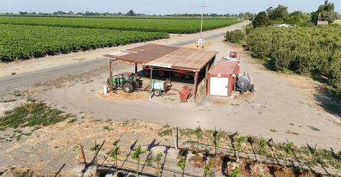 787 W Sutter Island Cross Rd, Courtland, CA 95615 Photo