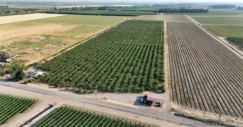 787 W Sutter Island Cross Rd, Courtland, CA 95615 Photo
