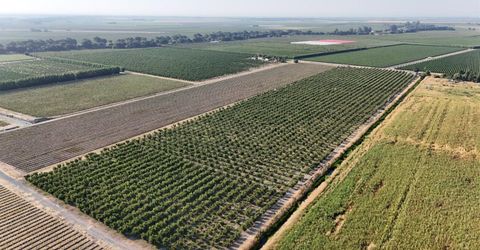 787 W Sutter Island Cross Rd, Courtland, CA 95615 Photo