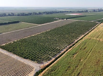 787 W Sutter Island Cross Rd, Courtland, CA 95615 Photo