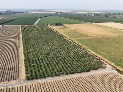 787 W Sutter Island Cross Rd, Courtland, CA 95615 Photo