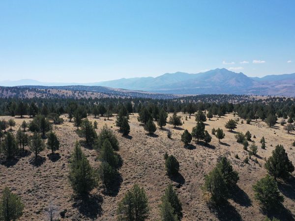 TL 2400 Wiley Creek Road, Mount Vernon, OR 97865