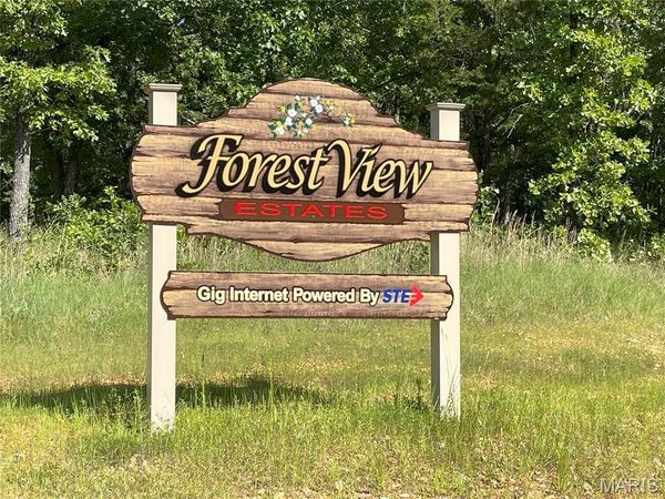 TBD Forest View, Steelville, MO 65565