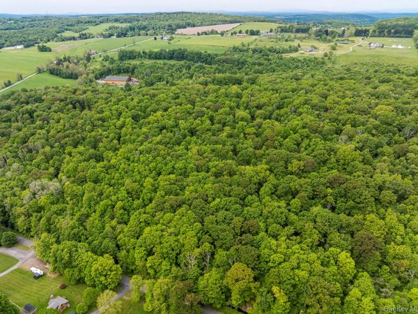 A Skunks Misery Road, Millerton, NY 12546