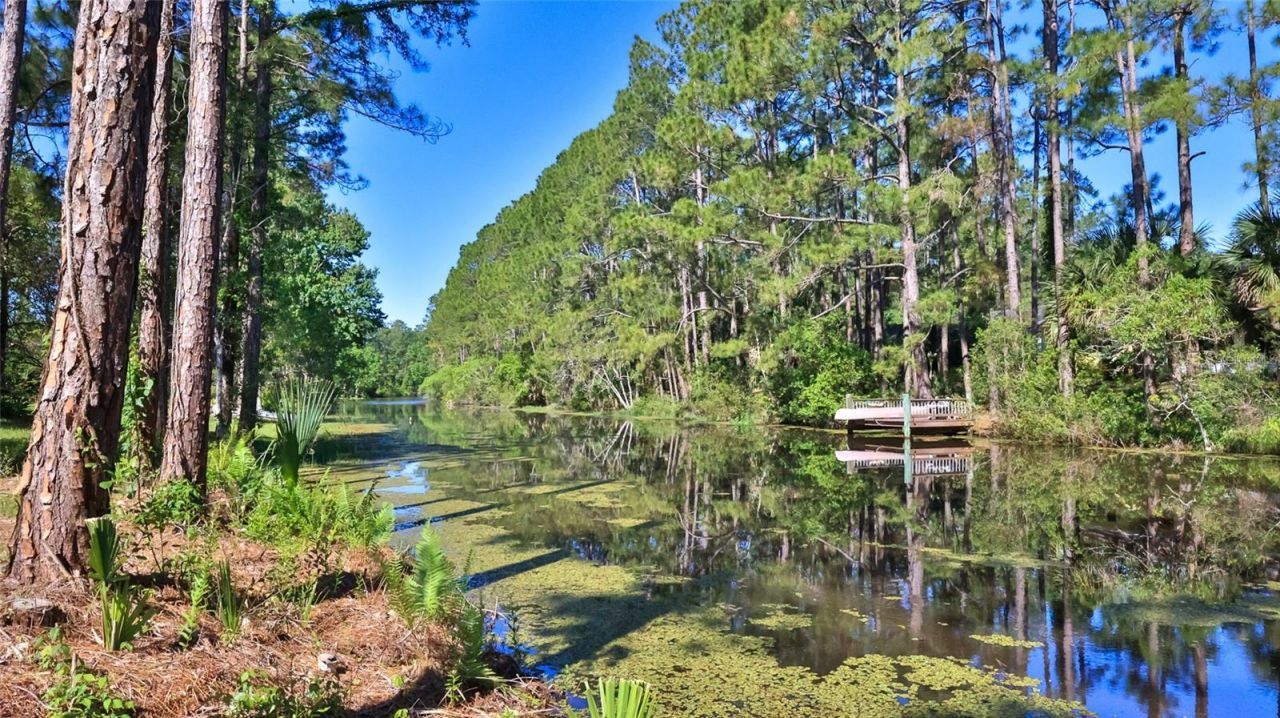 64 Whittington Drive, Palm Coast, FL 32164 Main Photo