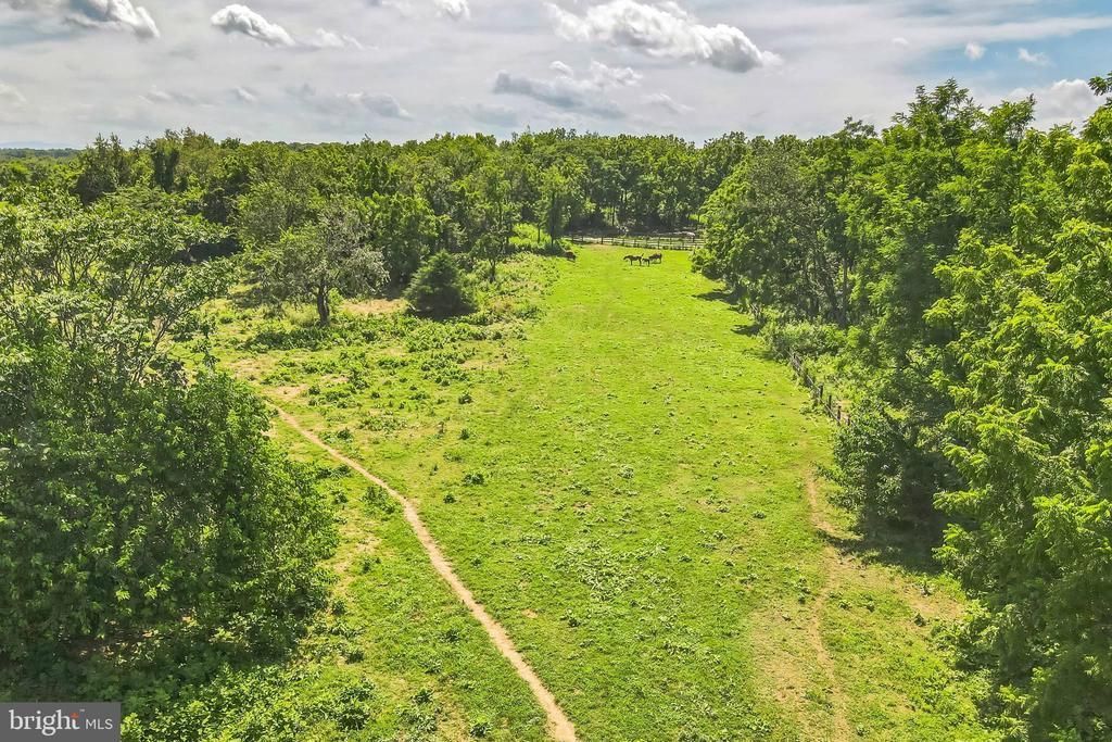 1683 WITHERS LARUE ROAD, BERRYVILLE, VA 22611