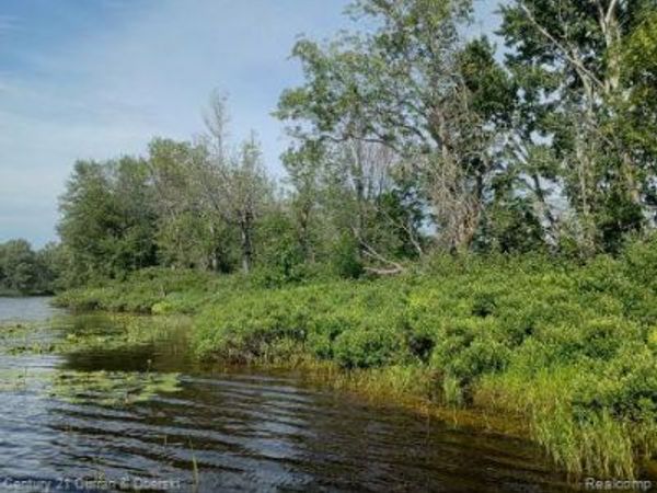 0000 Tahquamenon River (shore), McMillan Twp, MI 49868