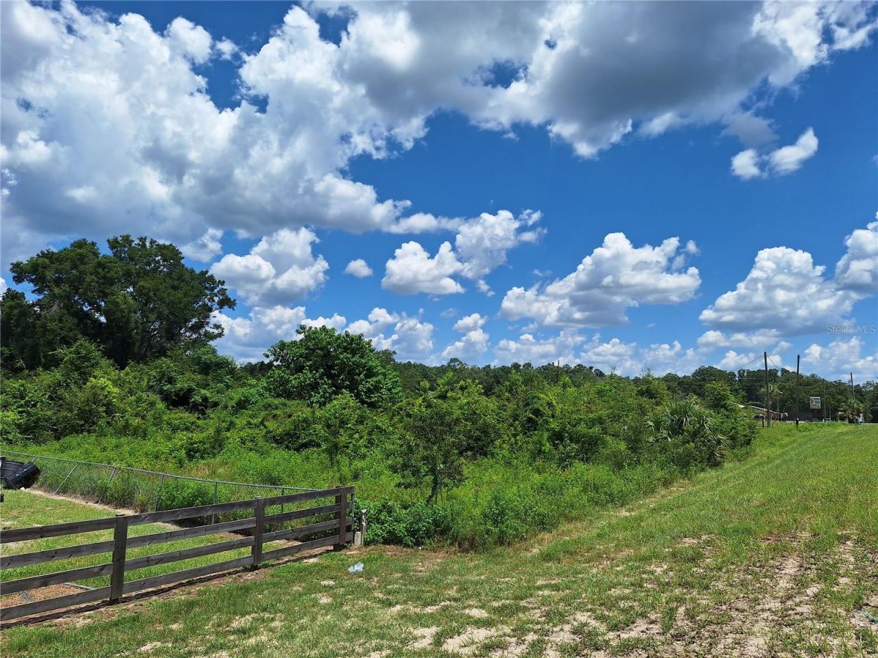Tbd SE Hwy. 19, Old Town, FL 32680 Photo