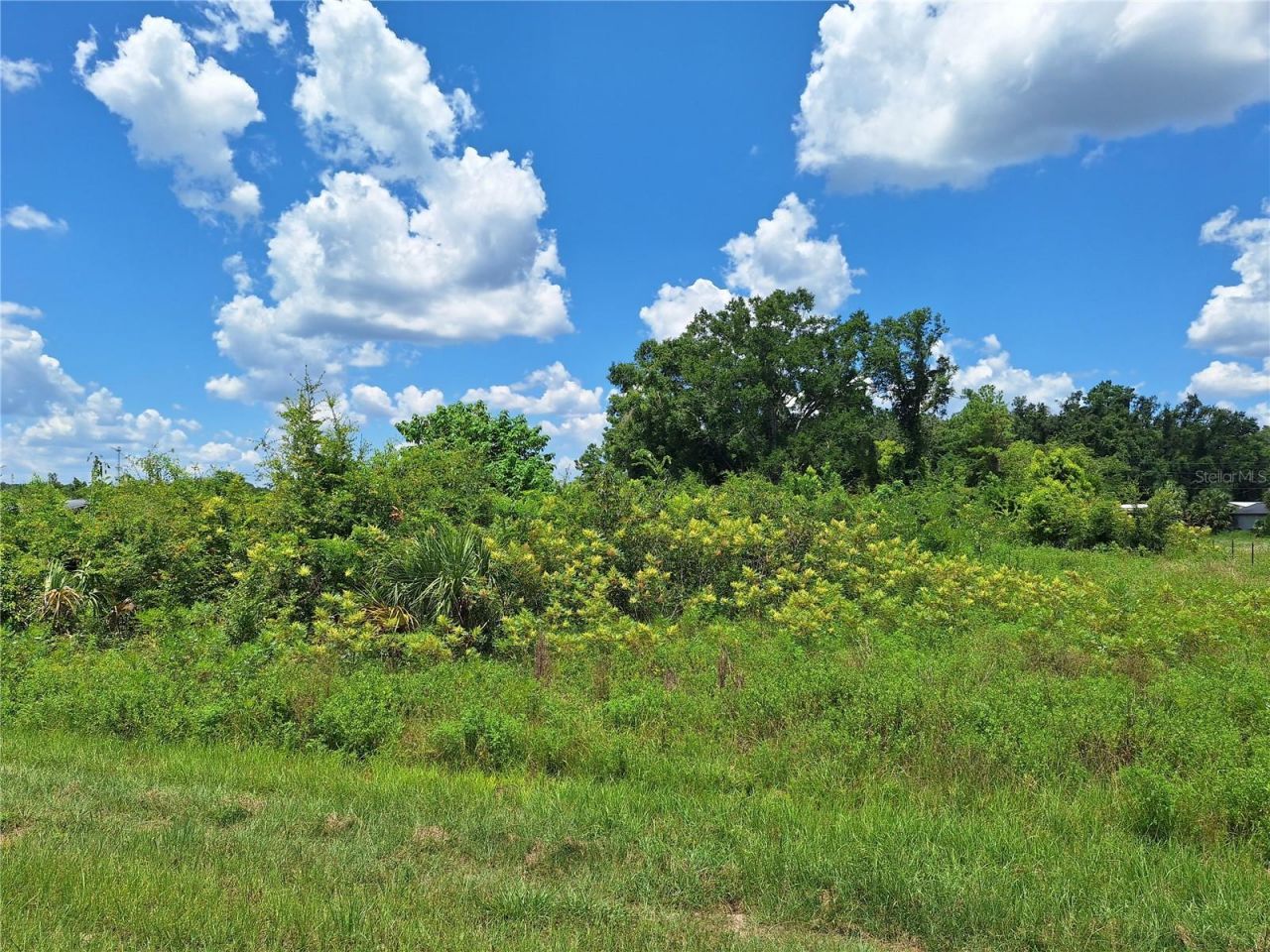 Tbd SE Hwy. 19, Old Town, FL 32680 Photo