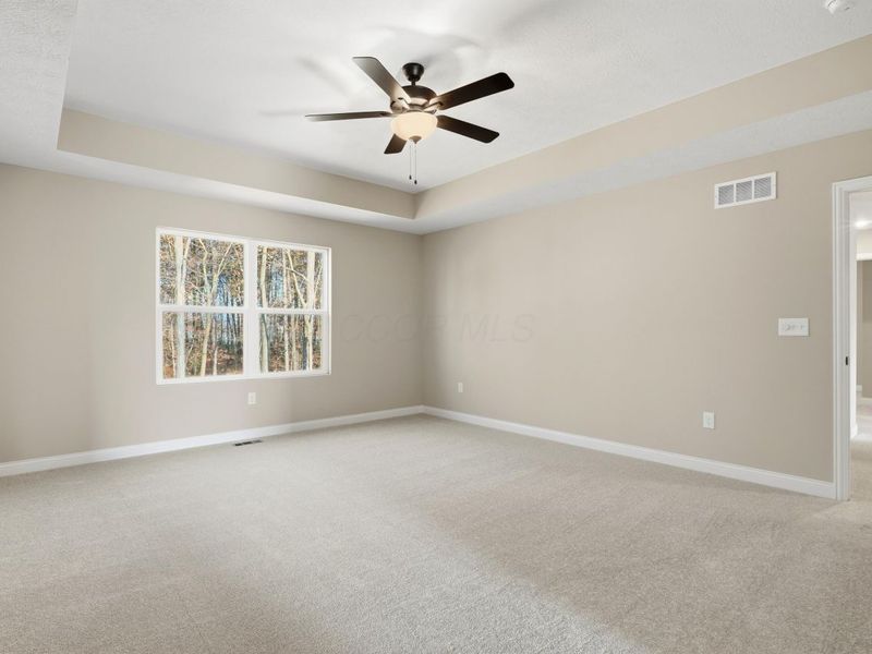 3692 Colts Reign Drive, Powell, OH 43065 Photo 41