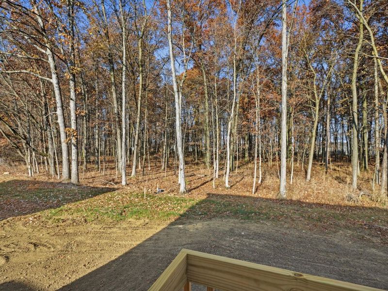 3692 Colts Reign Drive, Powell, OH 43065 Photo 46