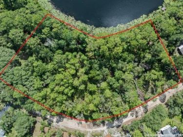 PINE VALLEY DRIVE, PAISLEY, FL 32767