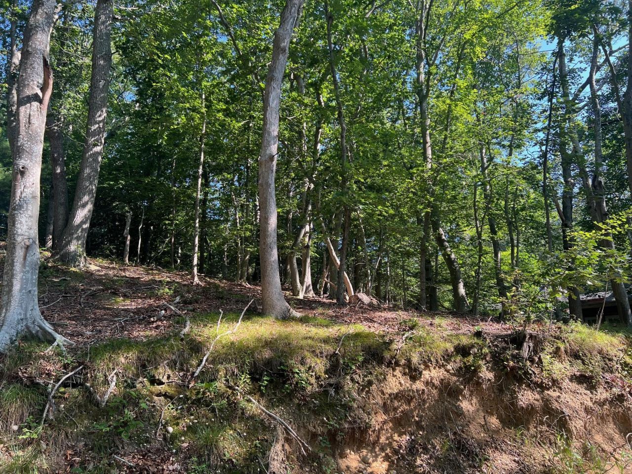 Fern Road, Calverton, NY 11933 Main Photo