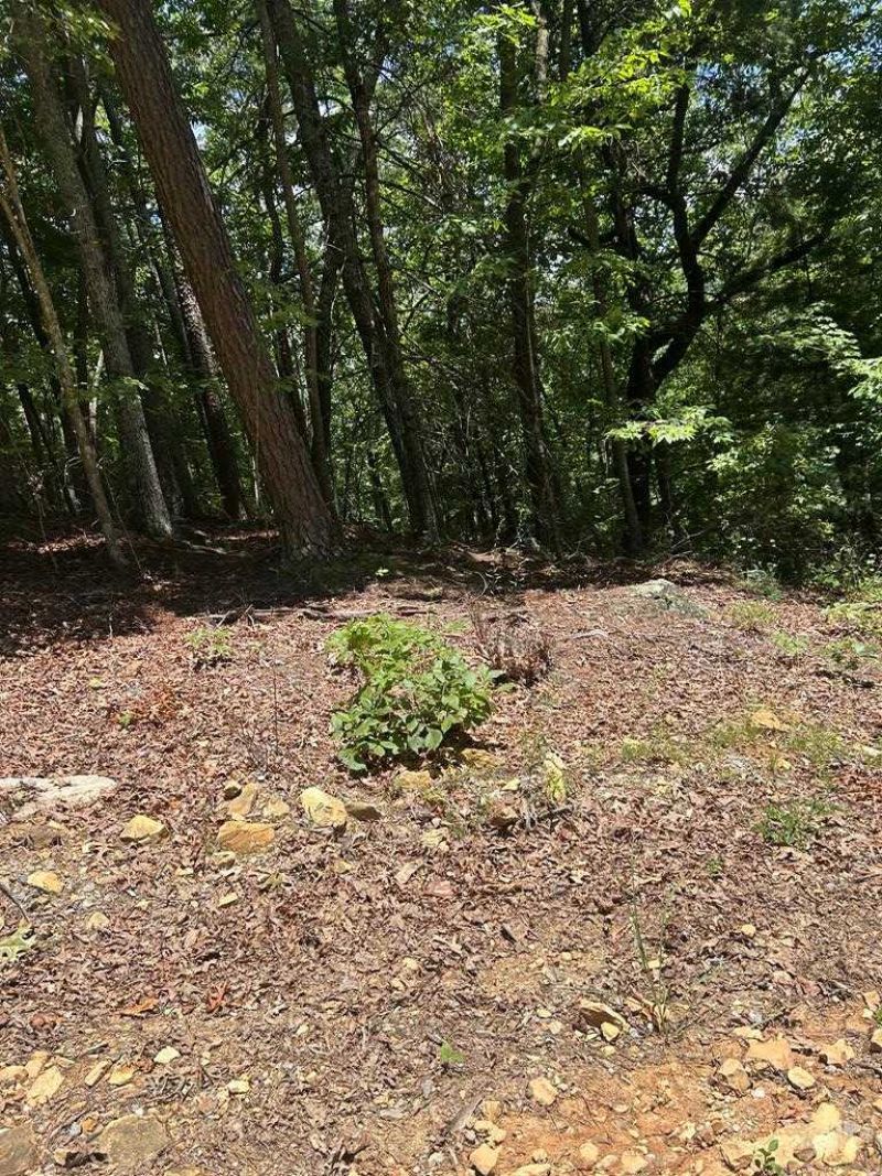 0 Skyview Acres Drive, Murphy, NC 28906 Main Photo