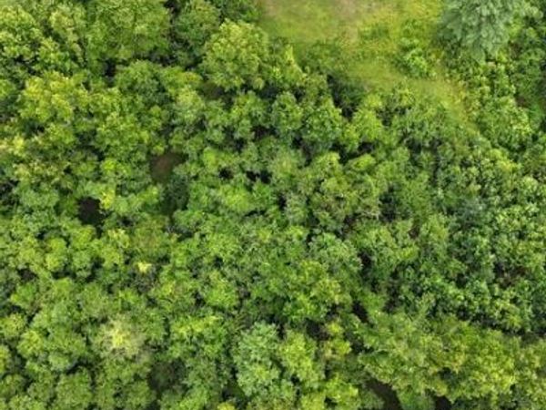 PATUXENT ROAD, ODENTON, MD 21113