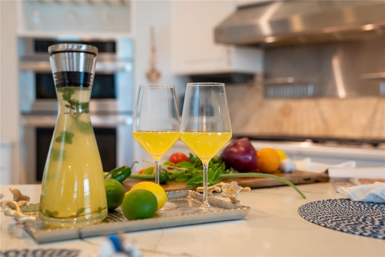 1661 Sea Breeze Drive, Tarpon Springs, FL 34689 Photo