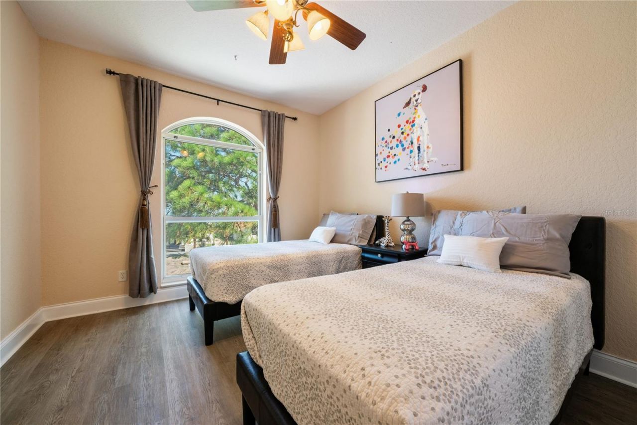 1661 Sea Breeze Drive, Tarpon Springs, FL 34689 Photo