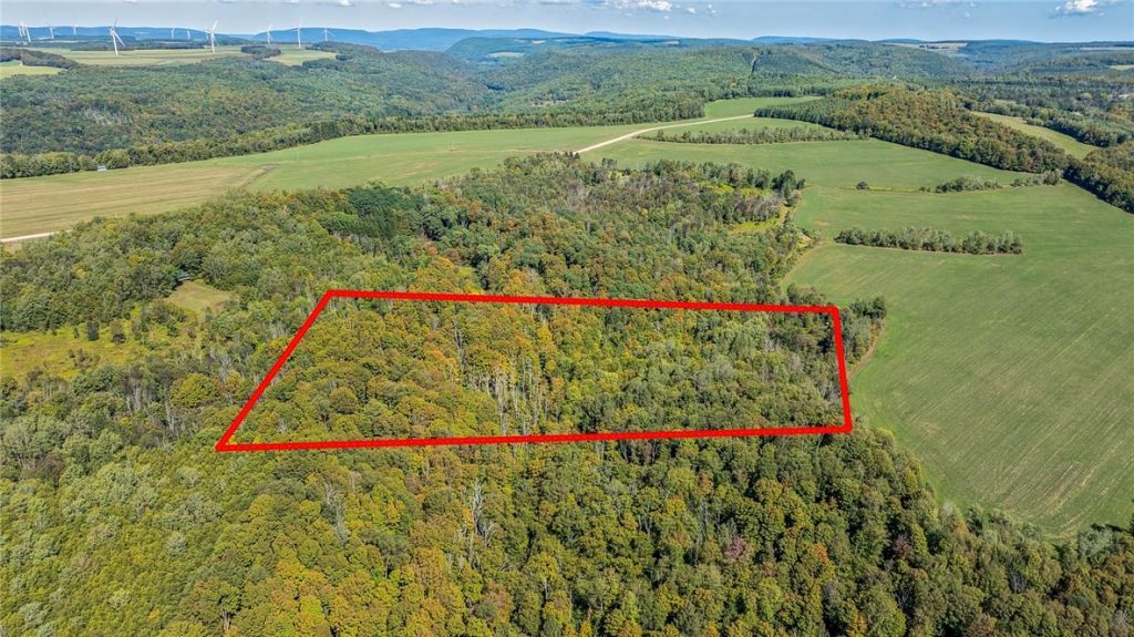 10373 Lookout, Prattsburgh, NY 14873 Main Photo